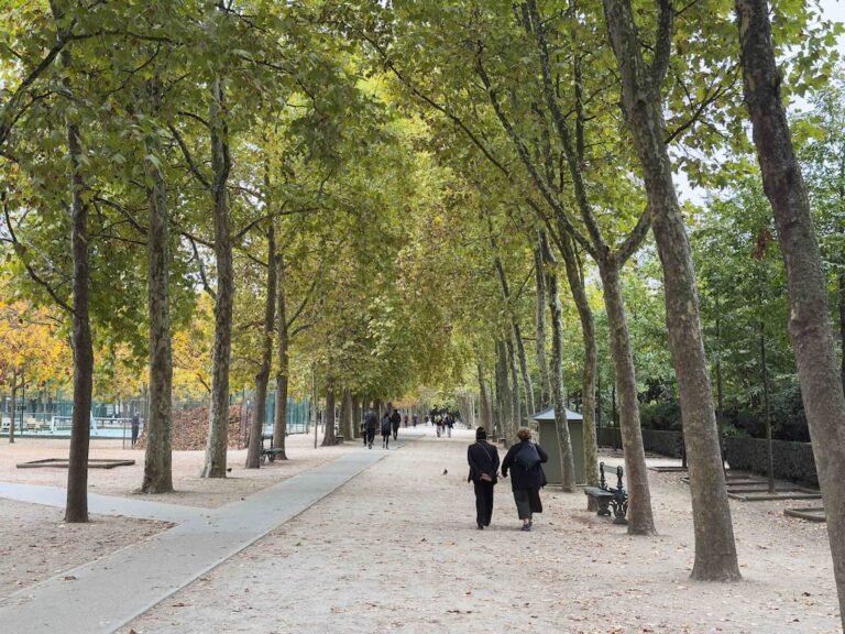 Saint-Germain-Des-Pres and Luxemburg Gardens
