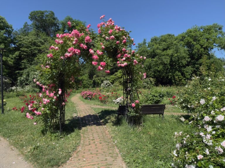 Botanical Garden and Opera
